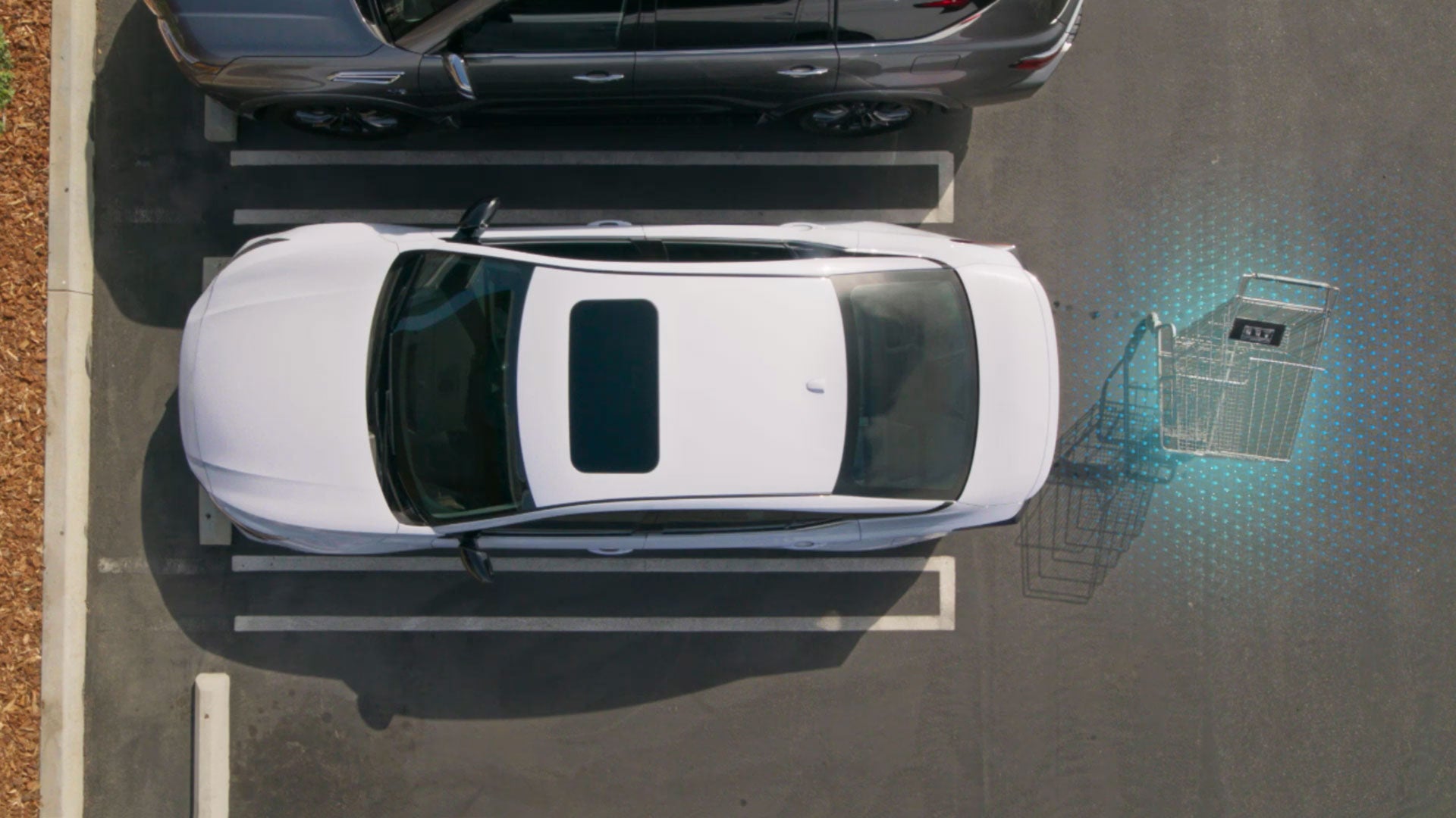 2026 Nissan Altima | Auffenberg Nissan in Shiloh, IL